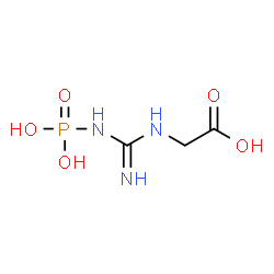 ChemSpider 2D Image | phosphoguanidinoacetic acid | C3H8N3O5P