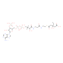 ChemSpider 2D Image | 1-[5-(6-Amino-9H-purin-9-yl)-4-hydroxy-3-(phosphonooxy)tetrahydro-2-furanyl]-21-ethyl-3,5,9,21-tetrahydroxy-8,8-dimethyl-10,14,19-trioxo-2,4,6-trioxa-18-thia-11,15-diaza-3,5-diphosphatricosan-23-oic a
cid 3,5-dioxide | C28H46N7O20P3S