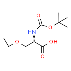 ChemSpider 2D Image | O-Ethyl-N-{[(2-methyl-2-propanyl)oxy]carbonyl}-L-serine | C10H19NO5