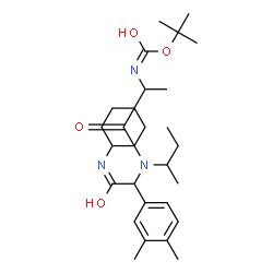 ChemSpider 2D Image | 2-Methyl-2-propanyl (1-{sec-butyl[2-(cyclohexylamino)-1-(3,4-dimethylphenyl)-2-oxoethyl]amino}-1-oxo-2-propanyl)carbamate | C28H45N3O4