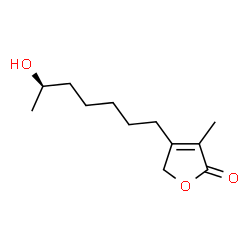 ChemSpider 2D Image | 4-[(6R)-6-Hydroxyheptyl]-3-methyl-2(5H)-furanone | C12H20O3