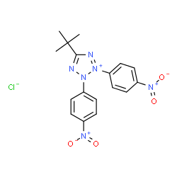 ChemSpider 2D Image | 5-(2-Methyl-2-propanyl)-2,3-bis(4-nitrophenyl)-2H-tetrazol-3-ium chloride | C17H17ClN6O4