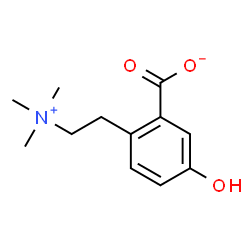 ChemSpider 2D Image | 5-Hydroxy-2-[2-(trimethylammonio)ethyl]benzoate | C12H17NO3