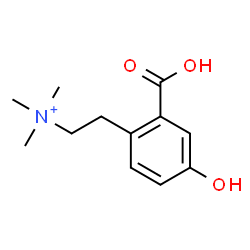 ChemSpider 2D Image | 2-(2-Carboxy-4-hydroxyphenyl)-N,N,N-trimethylethanaminium | C12H18NO3