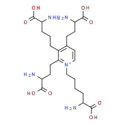 ChemSpider 2D Image | 6-[3-(4-Amino-4-carboxybutyl)-2,4-bis(3-amino-3-carboxypropyl)-1-pyridiniumyl]norleucine | C24H40N5O8