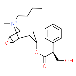 ChemSpider 2D Image | 9-Butyl-7-{[(2S)-3-hydroxy-2-phenylpropanoyl]oxy}-9-methyl-3-oxa-9-azoniatricyclo[3.3.1.0~2,4~]nonane | C21H30NO4