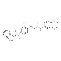 ChemSpider 2D Image | 2-[2-Chloro-4-(2,3-dihydro-1H-indol-1-ylsulfonyl)phenoxy]-N-(2,3-dihydro-1,4-benzodioxin-6-yl)acetamide | C24H21ClN2O6S