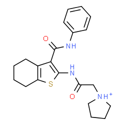ChemSpider 2D Image | 1-(2-Oxo-2-{[3-(phenylcarbamoyl)-4,5,6,7-tetrahydro-1-benzothiophen-2-yl]amino}ethyl)pyrrolidinium | C21H26N3O2S