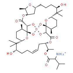 ChemSpider 2D Image | boromycin | C45H74BNO15