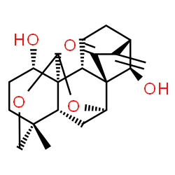 ChemSpider 2D Image | (1S,2S,5R,8R,10R,11S,14S,17S,18R,20R)-2,20-Dihydroxy-5-methyl-13-methylene-7,9-dioxahexacyclo[8.7.2.1~11,14~.0~1,8~.0~5,18~.0~11,17~]icosan-12-one | C20H26O5