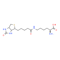 ChemSpider 2D Image | N~6~-[5-(2-Oxohexahydro-1H-thieno[3,4-d]imidazol-4-yl)pentanoyl]-L-lysine | C16H28N4O4S