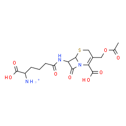 ChemSpider 2D Image | 4-(3-ACETOXYMETHYL-2-CARBOXY-8-OXO-5-THIA-1-AZA-BICYCLO[4.2.0]OCT-2-EN-7-YLCARBAMOYL)-1-CARBOXY-BUTYL-AMMONIUM | C16H22N3O8S