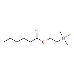 ChemSpider 2D Image | 2-(Hexanoyloxy)-N,N,N-trimethylethanaminium | C11H24NO2
