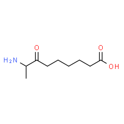 ChemSpider 2D Image | 8-Amino-7-oxononanoic acid | C9H17NO3
