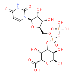 ChemSpider 2D Image | (2S,3S,4S,5R,6S)-4-{[{[(2R,3S,4R,5R)-5-(2,4-Dioxo-3,4-dihydro-1(2H)-pyrimidinyl)-3,4-dihydroxytetrahydro-2-furanyl]methoxy}(phosphonooxy)phosphoryl]oxy}-3,5,6-trihydroxytetrahydro-2H-pyran-2-carboxyli
c acid | C15H22N2O18P2