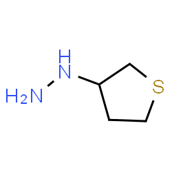 ChemSpider 2D Image | thiolan-3-ylhydrazine | C4H10N2S