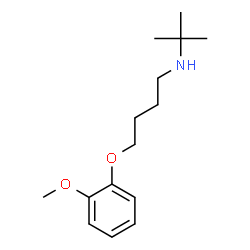 ChemSpider 2D Image | 4-(2-Methoxyphenoxy)-N-(2-methyl-2-propanyl)-1-butanamine | C15H25NO2