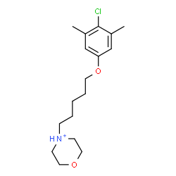 ChemSpider 2D Image | 4-[5-(4-Chloro-3,5-dimethylphenoxy)pentyl]morpholin-4-ium | C17H27ClNO2