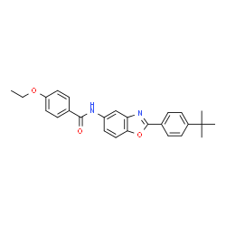 ChemSpider 2D Image | 4-Ethoxy-N-{2-[4-(2-methyl-2-propanyl)phenyl]-1,3-benzoxazol-5-yl}benzamide | C26H26N2O3