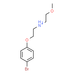 ChemSpider 2D Image | 2-(4-Bromophenoxy)-N-(2-methoxyethyl)ethanaminium | C11H17BrNO2
