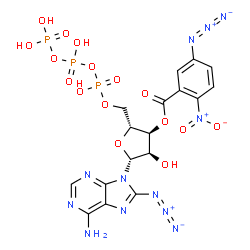ChemSpider 2D Image | 8-Azido-3'-O-(5-azido-2-nitrobenzoyl)adenosine 5'-(tetrahydrogen triphosphate) | C17H17N12O16P3