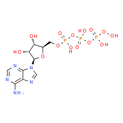 ChemSpider 2D Image | 5'-O-[{[{[Hydroperoxy(hydroxy)phosphoryl]oxy}(hydroxy)phosphoryl]oxy}(hydroxy)phosphoryl]adenosine | C10H16N5O14P3