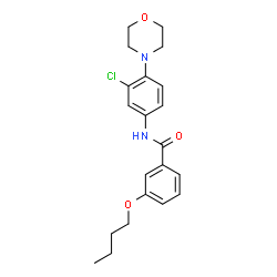 ChemSpider 2D Image | 3-Butoxy-N-[3-chloro-4-(4-morpholinyl)phenyl]benzamide | C21H25ClN2O3