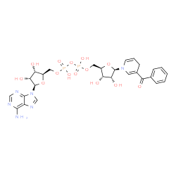 ChemSpider 2D Image | [(2R,3S,4R,5R)-5-(6-aminopurin-9-yl)-3,4-dihydroxy-tetrahydrofuran-2-yl]methyl [[(2R,3S,4R,5R)-5-(3-benzoyl-4H-pyridin-1-yl)-3,4-dihydroxy-tetrahydrofuran-2-yl]methoxy-hydroxy-phosphoryl] hydrogen phosphate | C27H32N6O14P2