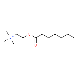ChemSpider 2D Image | 2-(Heptanoyloxy)-N,N,N-trimethylethanaminium | C12H26NO2