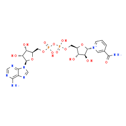 ChemSpider 2D Image | [(2R,3S,4R,5R)-5-(6-aminopurin-9-yl)-3,4-dihydroxy-tetrahydrofuran-2-yl]methyl [[(2R,3S,4S,5S)-5-(3-carbamoylpyridin-1-ium-1-yl)-3,4-dihydroxy-tetrahydrofuran-2-yl]methoxy-hydroxy-phosphoryl] hydrogen phosphate | C21H28N7O14P2