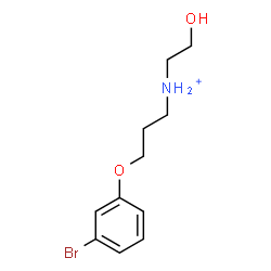 ChemSpider 2D Image | 3-(3-Bromophenoxy)-N-(2-hydroxyethyl)-1-propanaminium | C11H17BrNO2