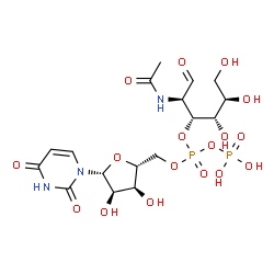 ChemSpider 2D Image | Uridine diphosphate-N-acetylgalactosamine | C17H27N3O17P2