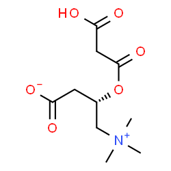 ChemSpider 2D Image | Malonyl-L-carnitine | C10H17NO6