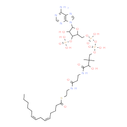 ChemSpider 2D Image | 5-cis-8-cis-Tetradecadienoyl-CoA | C35H58N7O17P3S