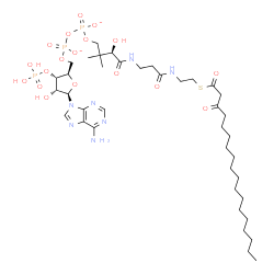 ChemSpider 2D Image | 3-oxooctadecanoyl-CoA | C39H66N7O18P3S