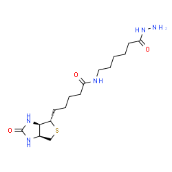 ChemSpider 2D Image | N-(6-Hydrazino-6-oxohexyl)-5-[(3aR,4S,6aS)-2-oxohexahydro-1H-thieno[3,4-d]imidazol-4-yl]pentanamide | C16H29N5O3S