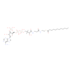 ChemSpider 2D Image | S-{(9R)-1-[(2R,3R,5R)-5-(6-Amino-9H-purin-9-yl)-4-hydroxy-3-(phosphonooxy)tetrahydro-2-furanyl]-3,5,9-trihydroxy-8,8-dimethyl-3,5-dioxido-10,14-dioxo-2,4,6-trioxa-11,15-diaza-3lambda~5~,5lambda~5~-dip
hosphaheptadecan-17-yl} dodecanethioate | C33H58N7O17P3S