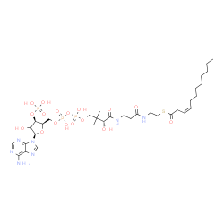 ChemSpider 2D Image | S-{(9R)-1-[(2R,3R,5R)-5-(6-Amino-9H-purin-9-yl)-4-hydroxy-3-(phosphonooxy)tetrahydro-2-furanyl]-3,5,9-trihydroxy-8,8-dimethyl-3,5-dioxido-10,14-dioxo-2,4,6-trioxa-11,15-diaza-3lambda~5~,5lambda~5~-dip
hosphaheptadecan-17-yl} (3Z)-3-dodecenethioate | C33H56N7O17P3S