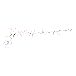 ChemSpider 2D Image | S-{(9R)-1-[(2R,3R,5R)-5-(6-Amino-9H-purin-9-yl)-4-hydroxy-3-(phosphonooxy)tetrahydro-2-furanyl]-3,5,9-trihydroxy-8,8-dimethyl-3,5-dioxido-10,14-dioxo-2,4,6-trioxa-11,15-diaza-3lambda~5~,5lambda~5~-dip
hosphaheptadecan-17-yl} (3S)-3-hydroxydecanethioate | C31H54N7O18P3S
