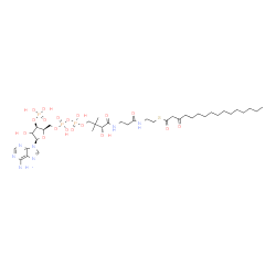 ChemSpider 2D Image | S-{(9R)-1-[(2R,3R,5R)-5-(6-Amino-9H-purin-9-yl)-4-hydroxy-3-(phosphonooxy)tetrahydro-2-furanyl]-3,5,9-trihydroxy-8,8-dimethyl-3,5-dioxido-10,14-dioxo-2,4,6-trioxa-11,15-diaza-3lambda~5~,5lambda~5~-dip
hosphaheptadecan-17-yl} 3-oxohexadecanethioate | C37H64N7O18P3S