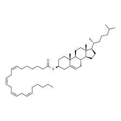 ChemSpider 2D Image | Cholest-5-en-3-ol (3Î²)-, 3-(7,10,13,16-docosatetraenoate) | C49H80O2