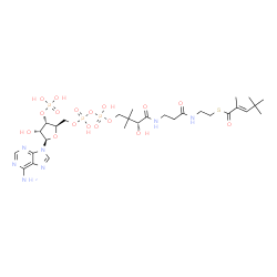ChemSpider 2D Image | S-{(9R)-1-[(2R,3S,4R,5R)-5-(6-Amino-9H-purin-9-yl)-4-hydroxy-3-(phosphonooxy)tetrahydro-2-furanyl]-3,5,9-trihydroxy-8,8-dimethyl-3,5-dioxido-10,14-dioxo-2,4,6-trioxa-11,15-diaza-3lambda~5~,5lambda~5~-
diphosphaheptadecan-17-yl} (2E)-2,4,4-trimethyl-2-pentenethioate | C29H48N7O17P3S