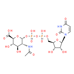 ChemSpider 2D Image | (2S,3S,4R,5R,6R)-5-Acetamido-6-{[{[{[(2R,3S,4R,5R)-5-(2,4-dioxo-3,4-dihydro-1(2H)-pyrimidinyl)-3,4-dihydroxytetrahydro-2-furanyl]methoxy}(hydroxy)phosphoryl]oxy}(hydroxy)phosphoryl]oxy}-3,4-dihydroxyt
etrahydro-2H-pyran-2-carboxylic acid | C17H25N3O18P2