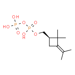 ChemSpider 2D Image | [(1R)-3-Isopropylidene-2,2-dimethylcyclobutyl]methyl trihydrogen diphosphate | C10H20O7P2