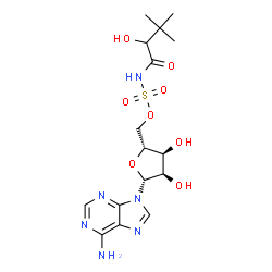 ChemSpider 2D Image | 5'-O-[(2-Hydroxy-3,3-dimethylbutanoyl)sulfamoyl]adenosine | C16H24N6O8S