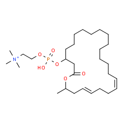 ChemSpider 2D Image | 2-[(Hydroxy{[(17Z,21E)-24-methyl-2-oxooxacyclotetracosa-17,21-dien-4-yl]oxy}phosphoryl)oxy]-N,N,N-trimethylethanaminium | C29H55NO6P