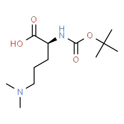 ChemSpider 2D Image | N~5~,N~5~-Dimethyl-N~2~-{[(2-methyl-2-propanyl)oxy]carbonyl}-L-ornithine | C12H24N2O4
