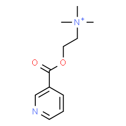 ChemSpider 2D Image | Nicotinoylcholine | C11H17N2O2