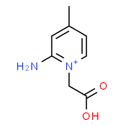 ChemSpider 2D Image | 2-Amino-1-(carboxymethyl)-4-methylpyridinium | C8H11N2O2