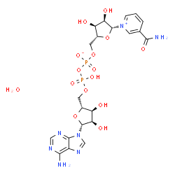 ChemSpider 2D Image | [[(2R,3S,4R,5R)-5-(6-aminopurin-9-yl)-3,4-dihydroxy-tetrahydrofuran-2-yl]methoxy-hydroxy-phosphoryl] [(2R,3S,4R,5R)-5-(3-carbamoylpyridin-1-ium-1-yl)-3,4-dihydroxy-tetrahydrofuran-2-yl]methyl phosphate;hydrate | C21H29N7O15P2